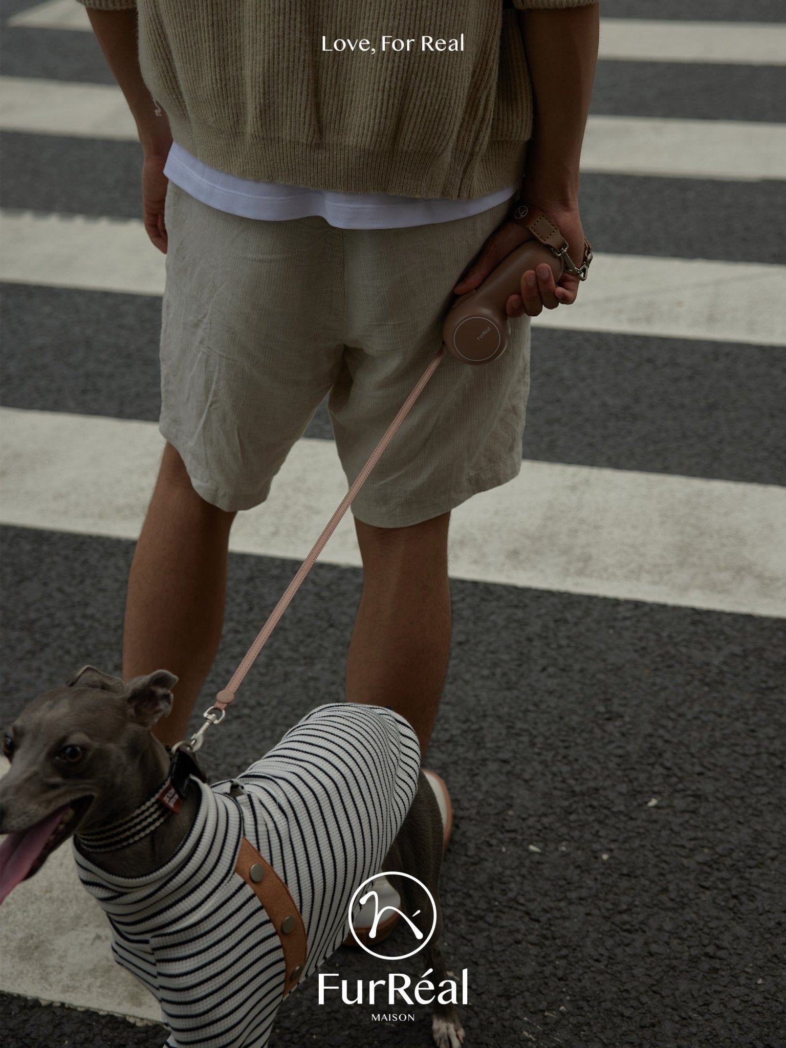 Tethered by Love: The Bond Beyond the Leash