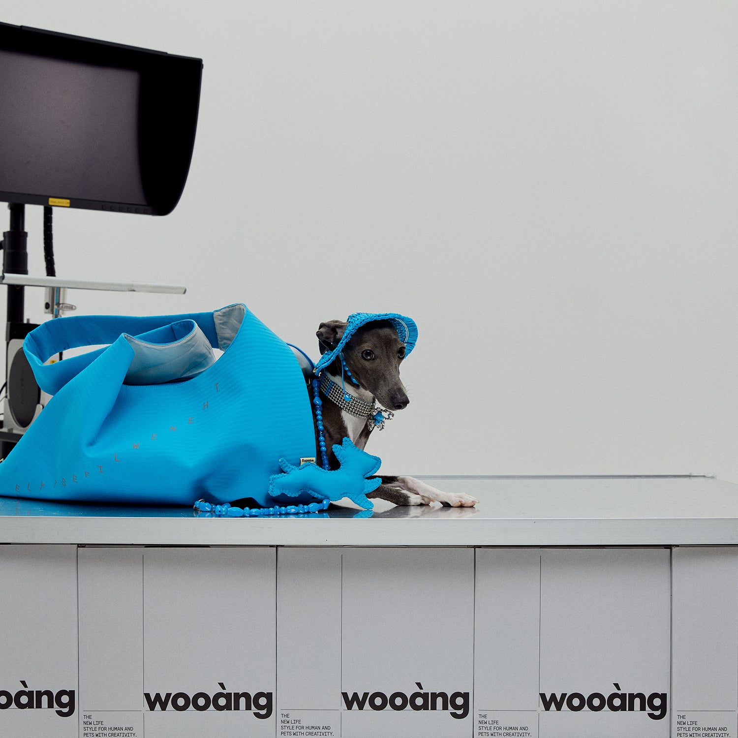 Wooàng Fashion Pet Carry Bag