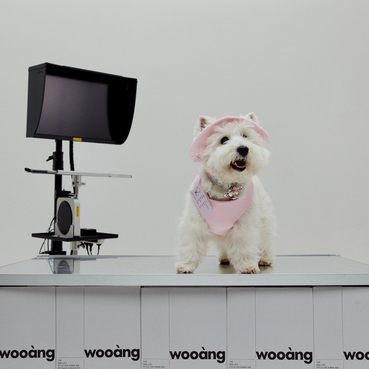 Wooàng Dog Magnetic Harness